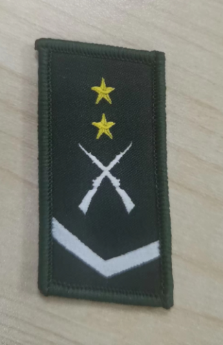 作训服领章