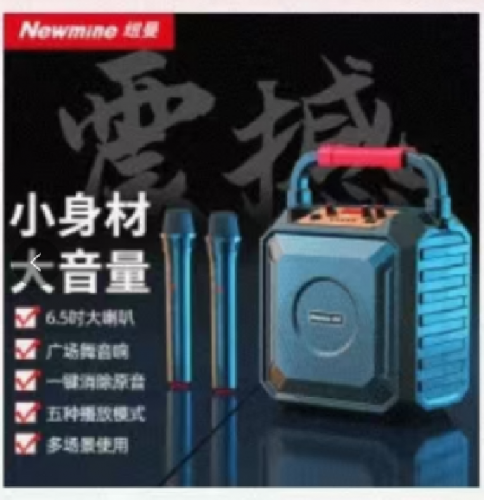 纽曼音箱  户外K歌乐器蓝牙音箱低音炮大音量高品质 K220户外手提音响【双话筒】