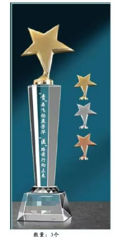 奖杯   水晶奖杯  可定制  具体定制内容联系客服