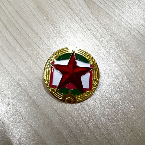 帽徽  国护队帽徽