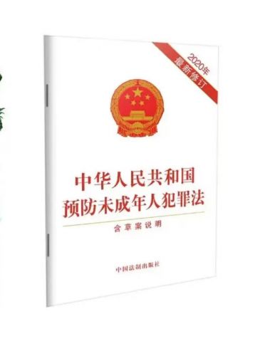 预防未成年人犯罪法