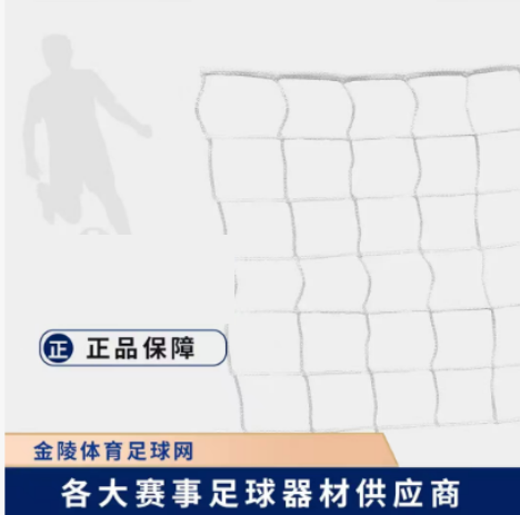 足球网 11人制