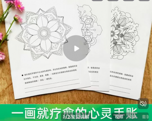 曼陀罗绘画疗愈卡纸 清理页100张+彩铅笔+指导